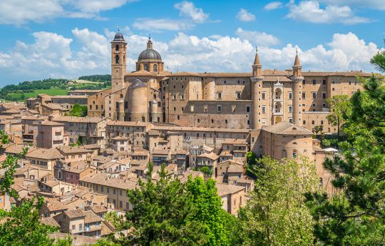 Urbino